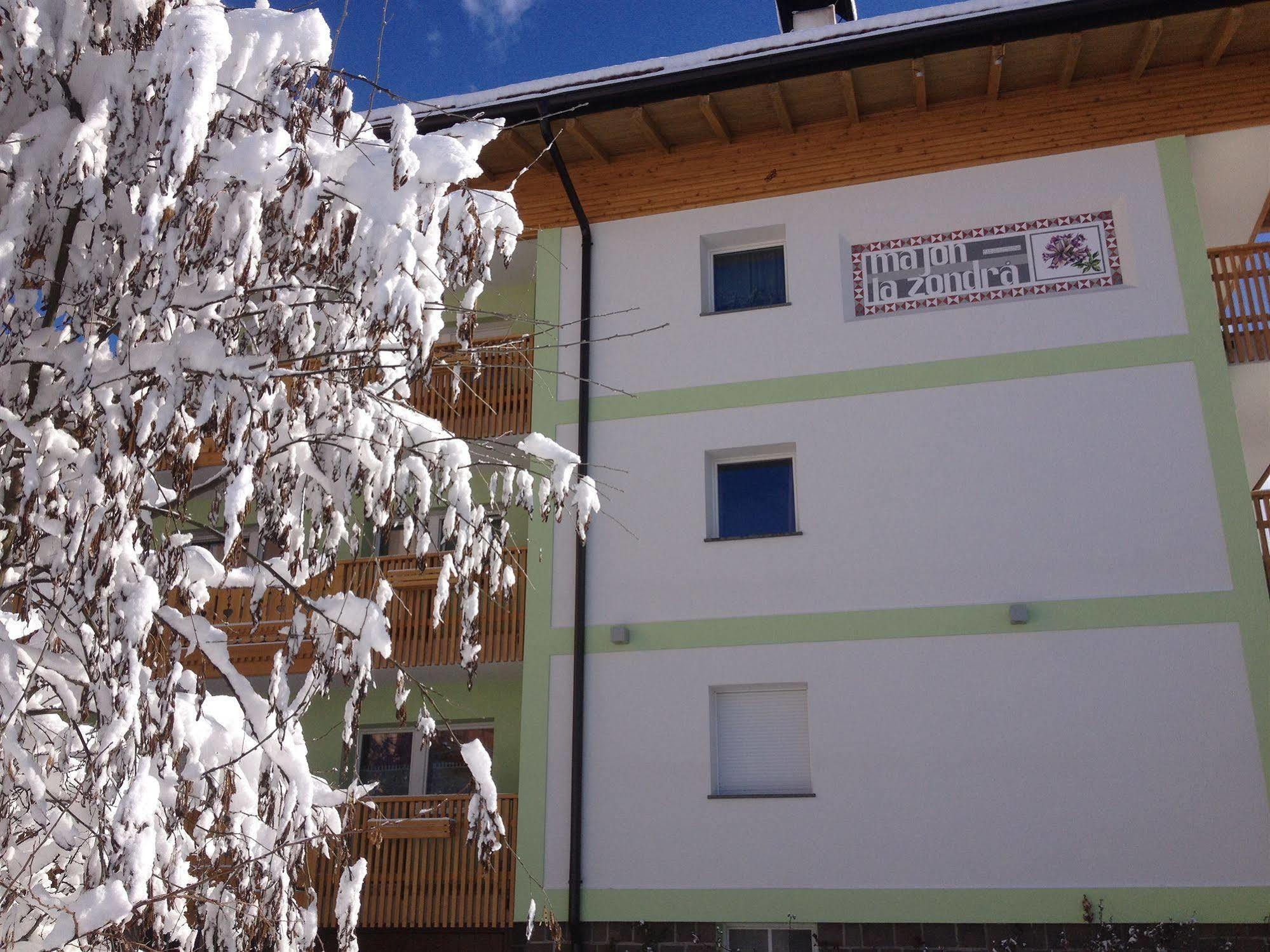 Mason La Zondra Aparthotel Vigo di Fassa Bagian luar foto
